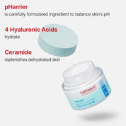 [Cell Fusion C] Low pH pHarrier Moisture Cream 80ml
